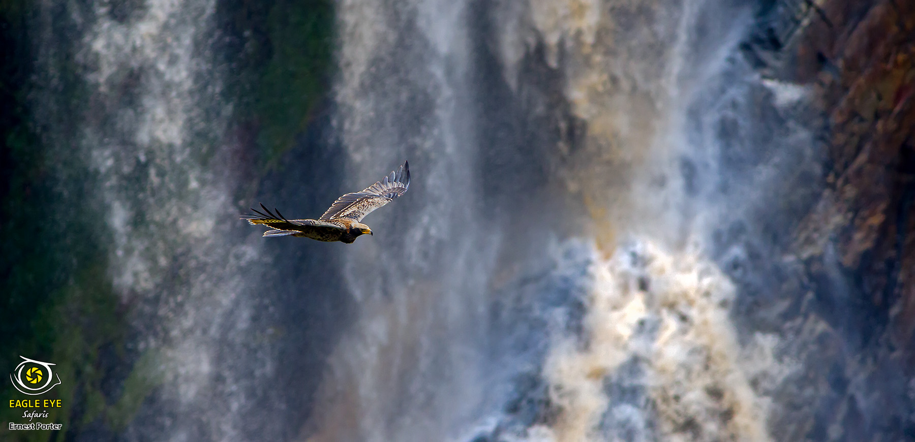 Nessi and the waterfall (Verreaux's Eagle)