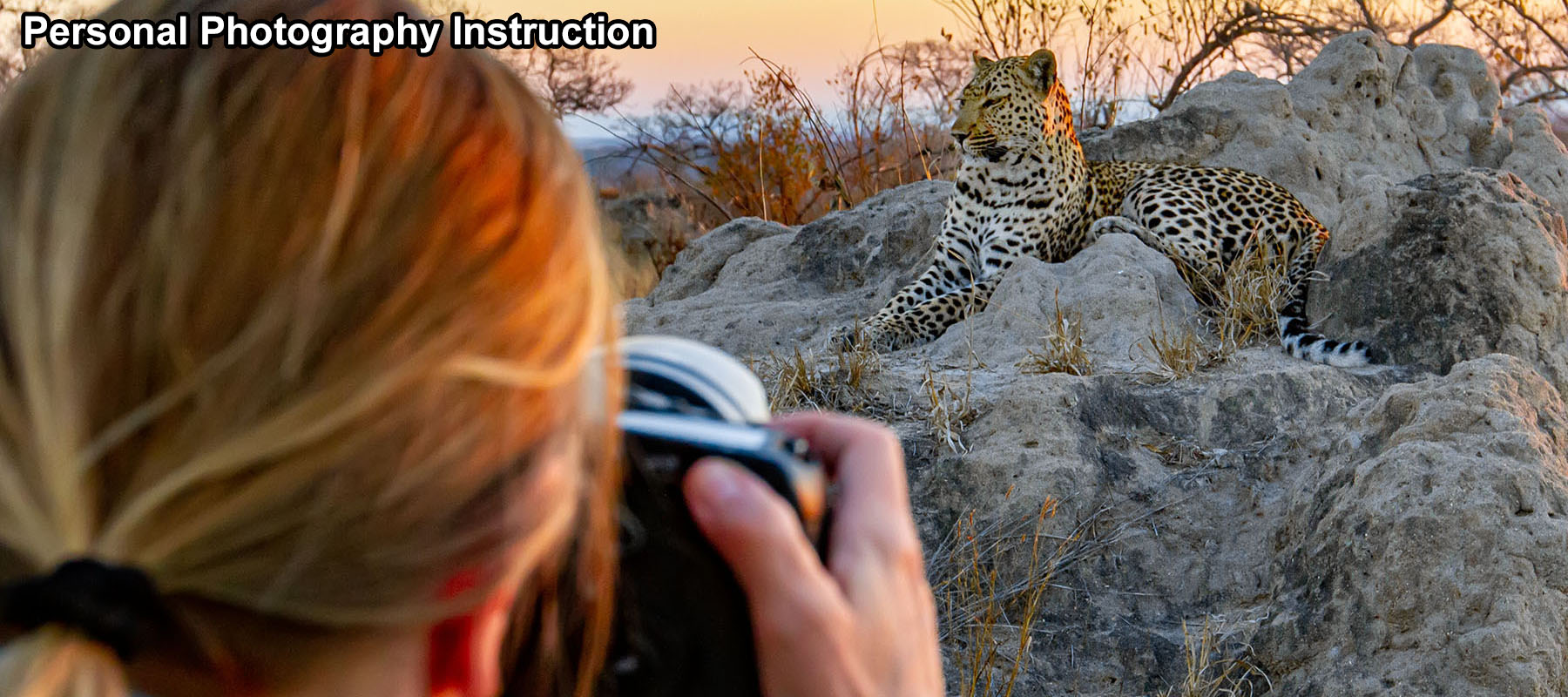 Wildlife Photo Safari client improving photography skills on a leopard in Sabi Sands, Manyaleti, South Africa, Kenya, Tanzania, Uganda, Rwanda